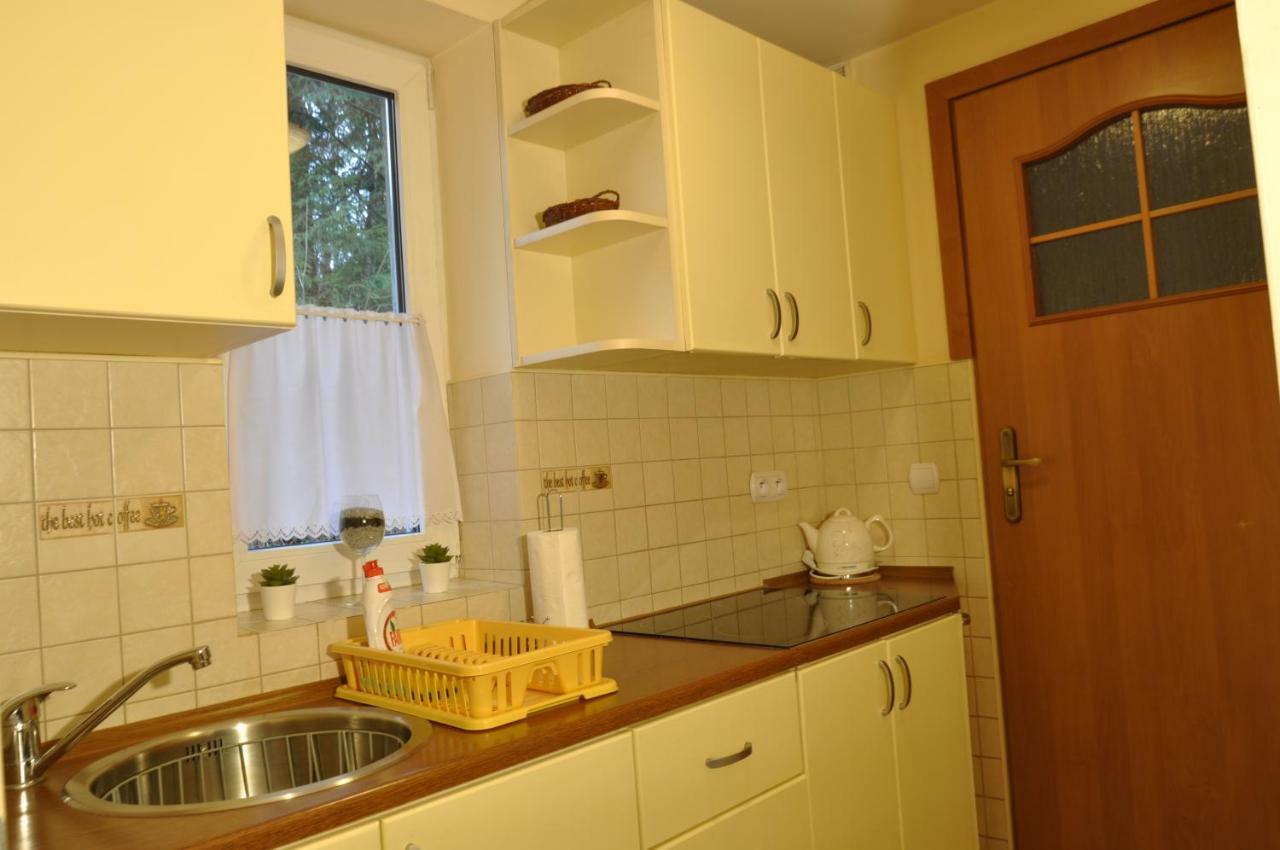 Apartamenty Sobiczkowa Wyspa Kościelisko Exterior foto