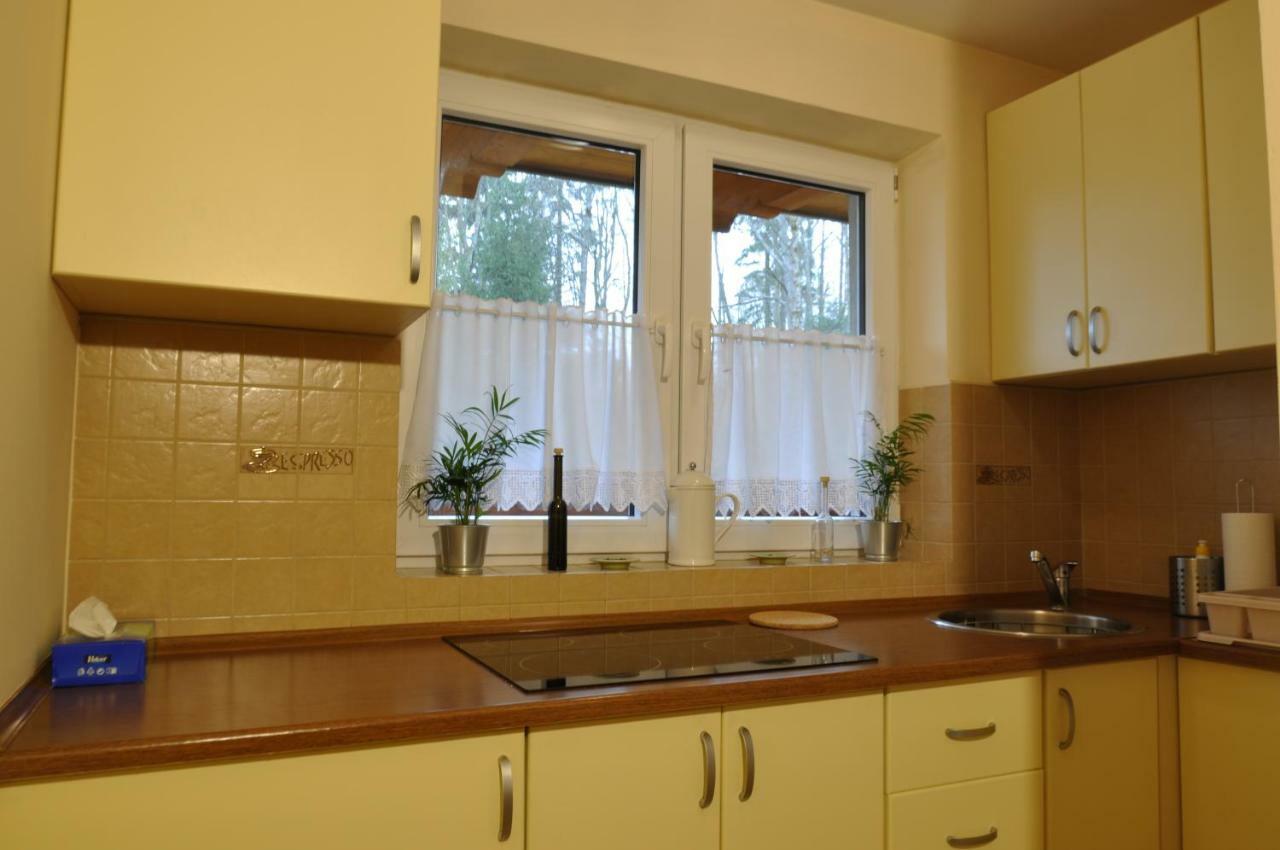 Apartamenty Sobiczkowa Wyspa Kościelisko Exterior foto